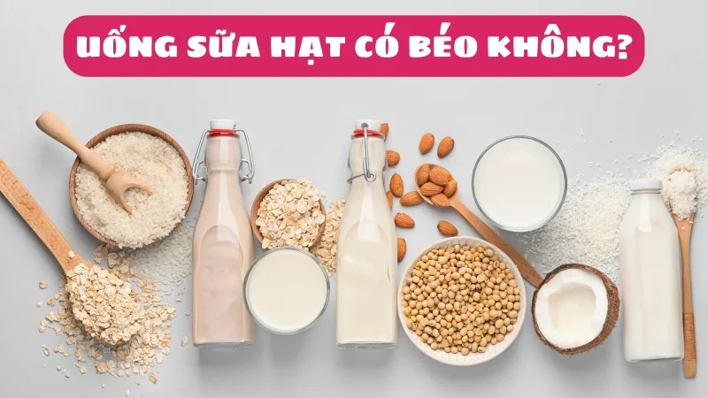 uong-sua-hat-co-beo-khong-bao-nhieu-calo-cach-su-dung-1