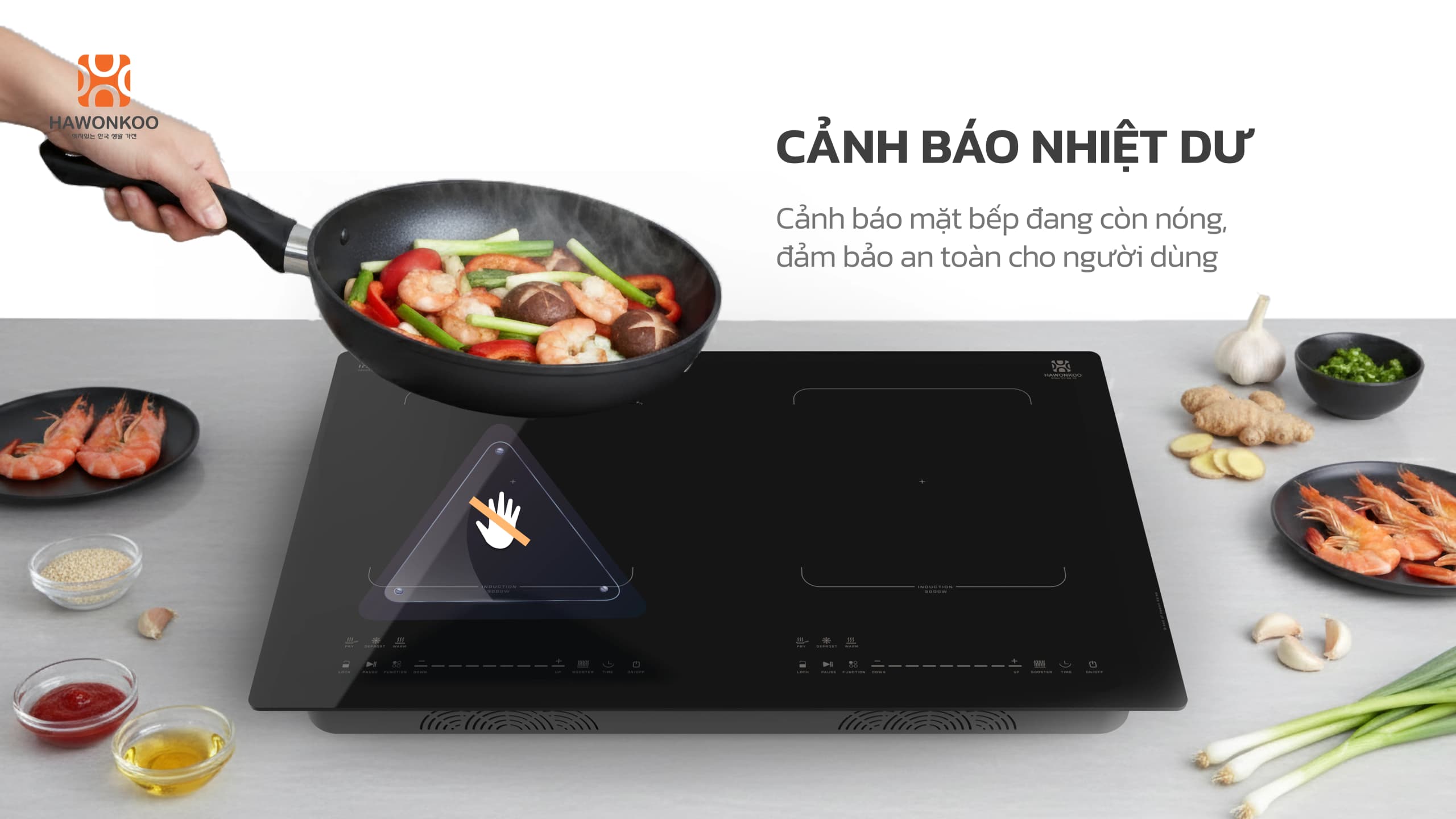 bep-tu-doi-hawonkoo-inverter-ceh-265-5400w-article-14