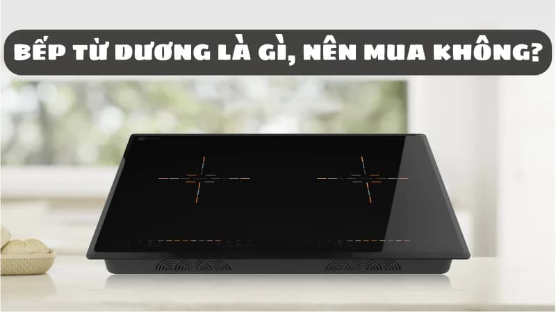bep-tu-duong-la-gi-co-nen-mua-khong-uu-nhuoc-diem-1