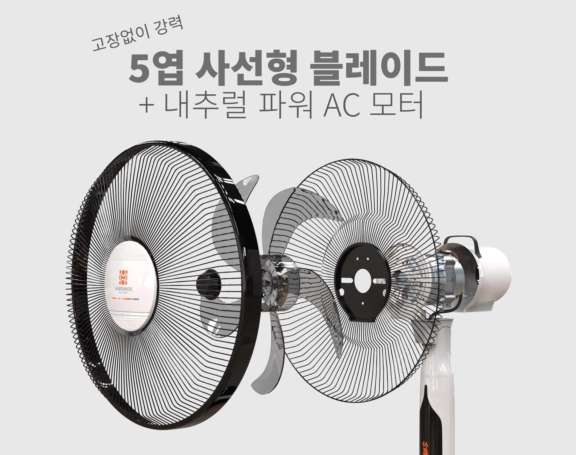 quat-cay-hawonkoo-ac-fah-011-article-2