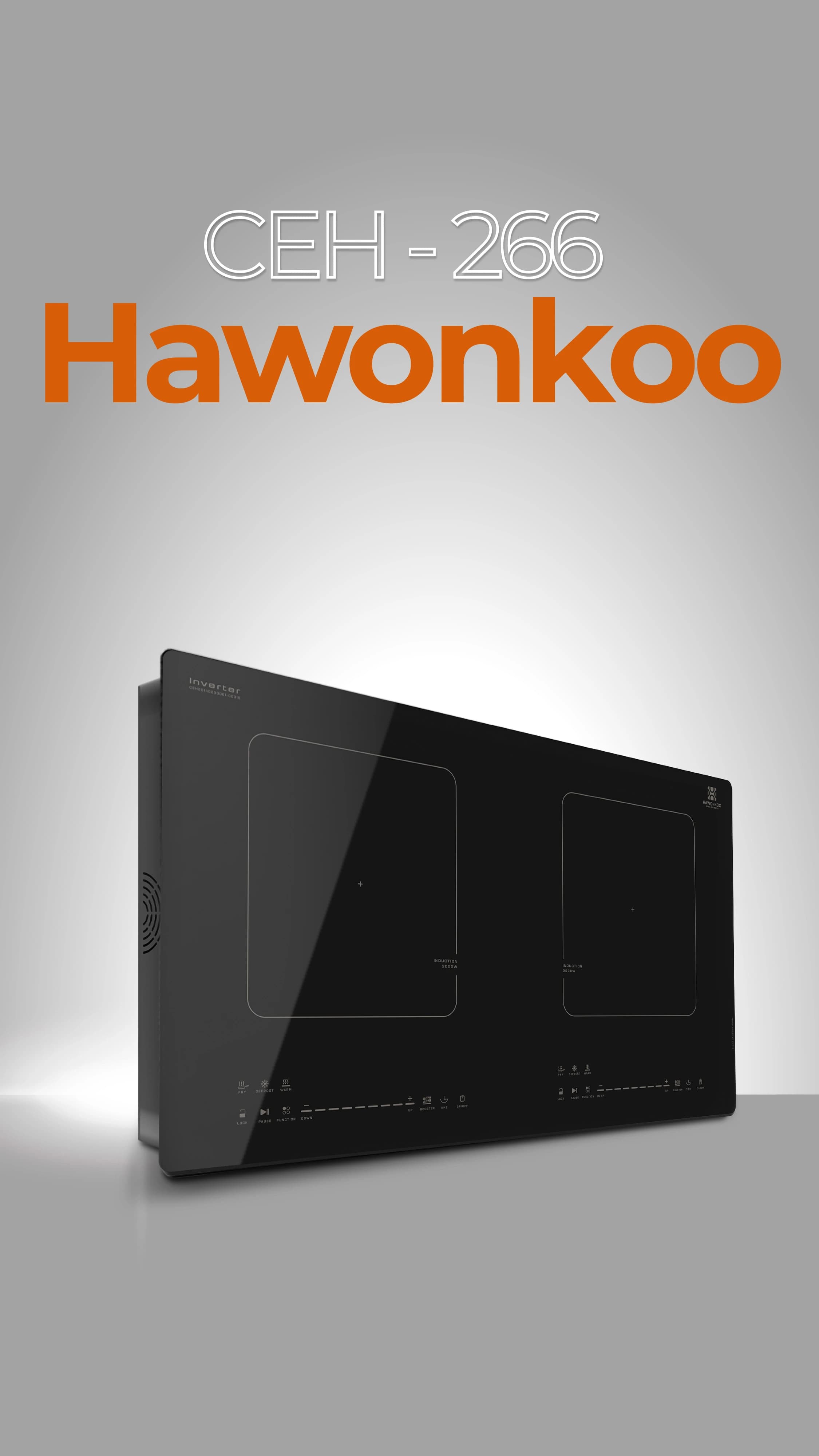 usp-266-hawonkoo-v2-19