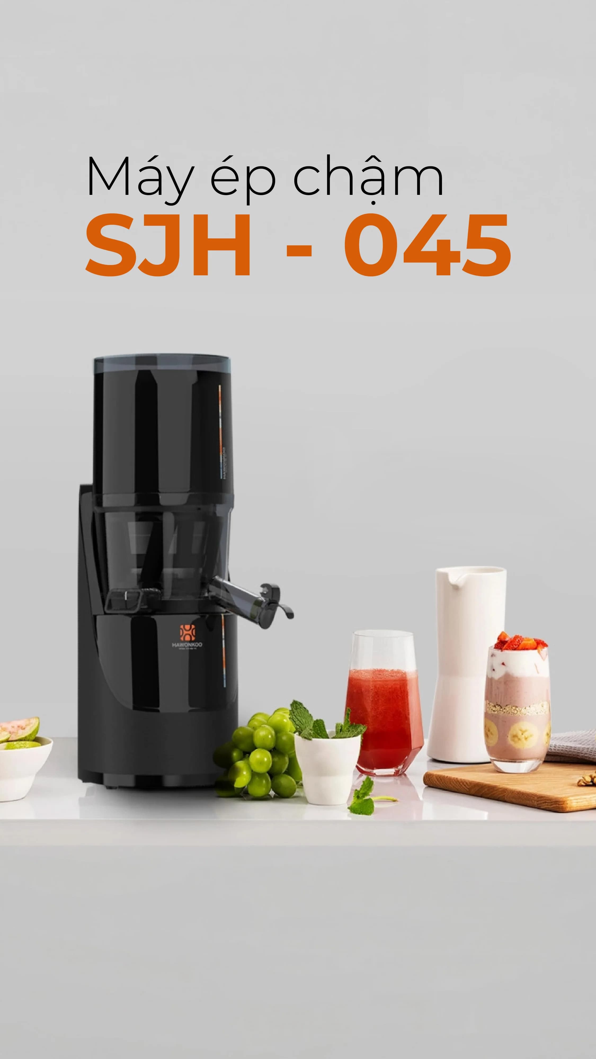 usp-sjh-045-v2-01