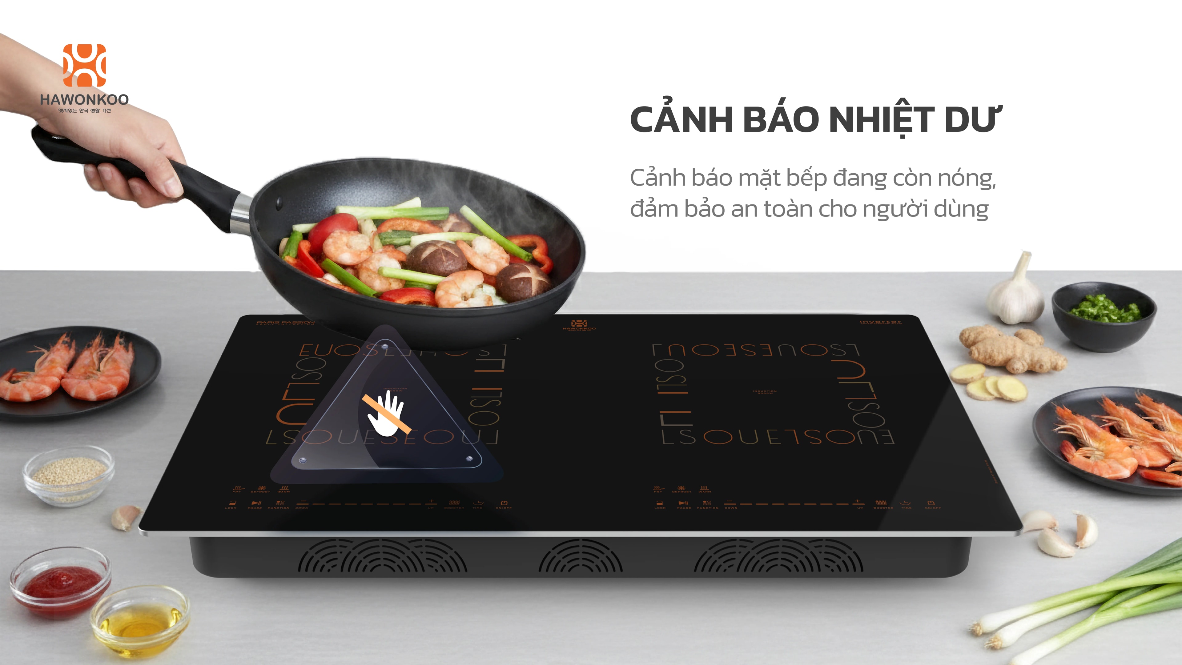 bep-tu-doi-hawonkoo-inverter-ceh-288-5200w-article-12