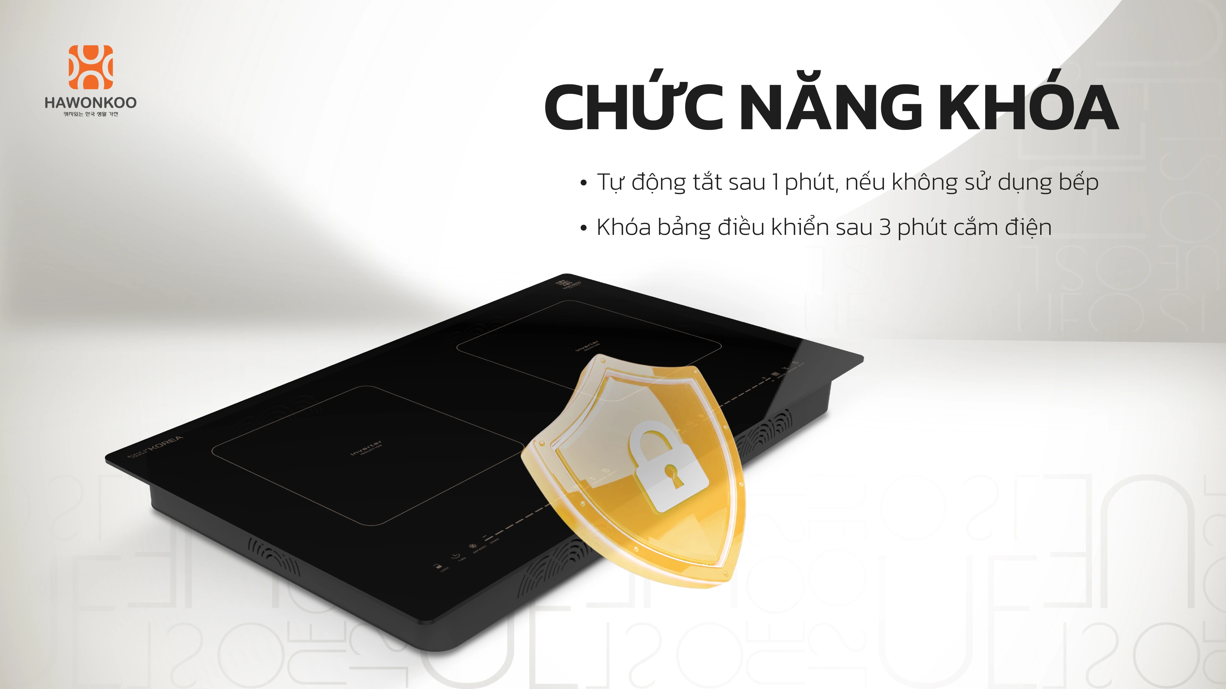 bep-tu-doi-hawonkoo-ceh-250-inverter-article-11