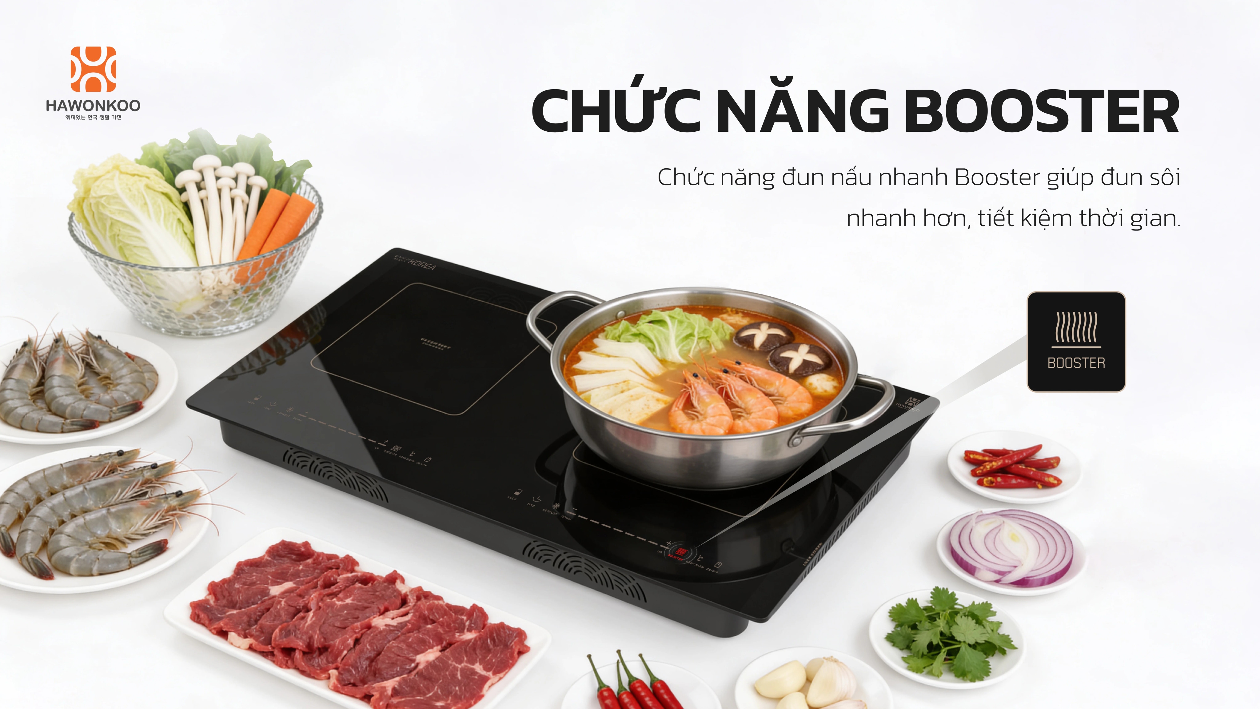 bep-tu-doi-hawonkoo-ceh-250-inverter-article-12