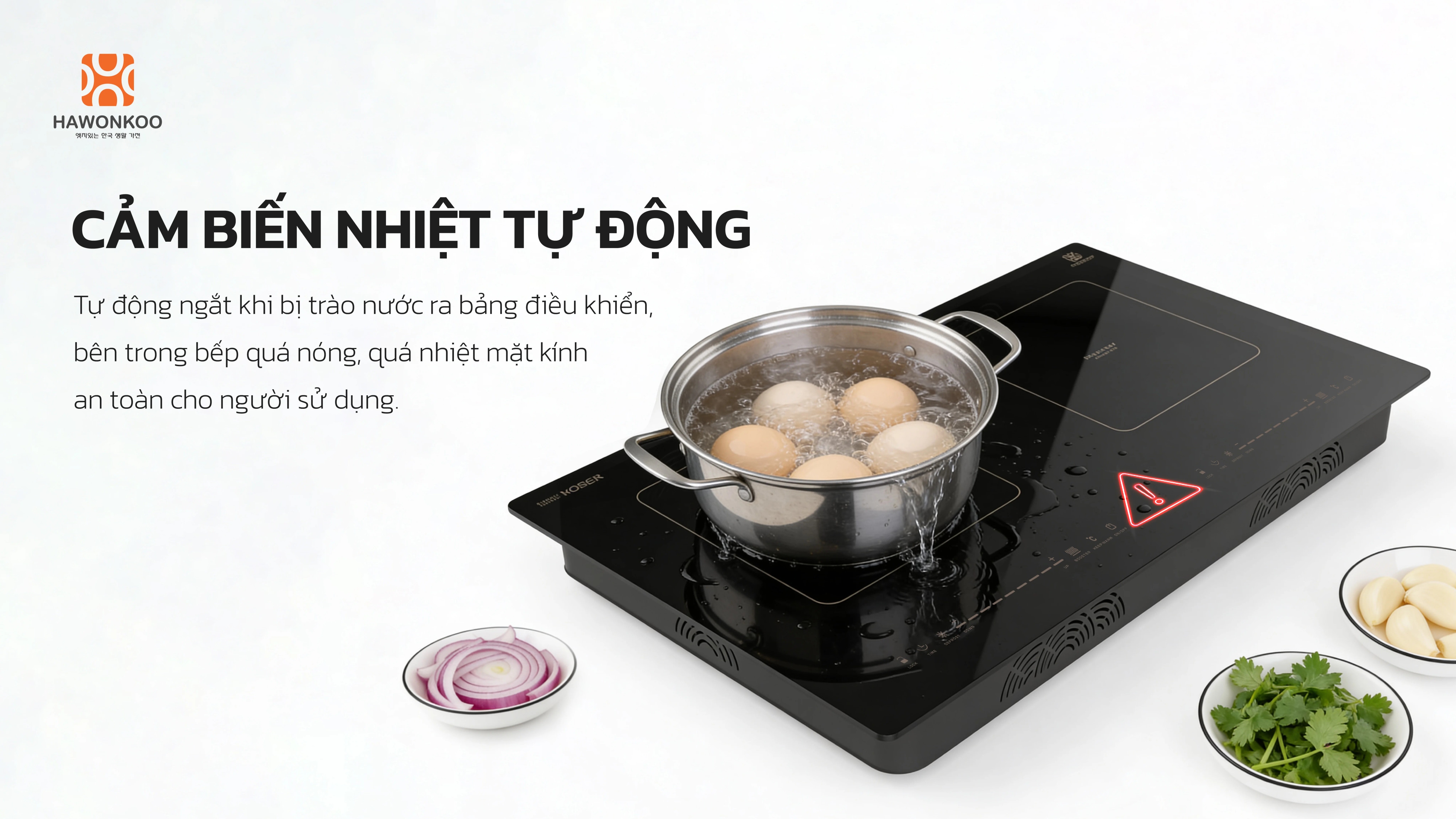 bep-tu-doi-hawonkoo-ceh-250-inverter-article-13