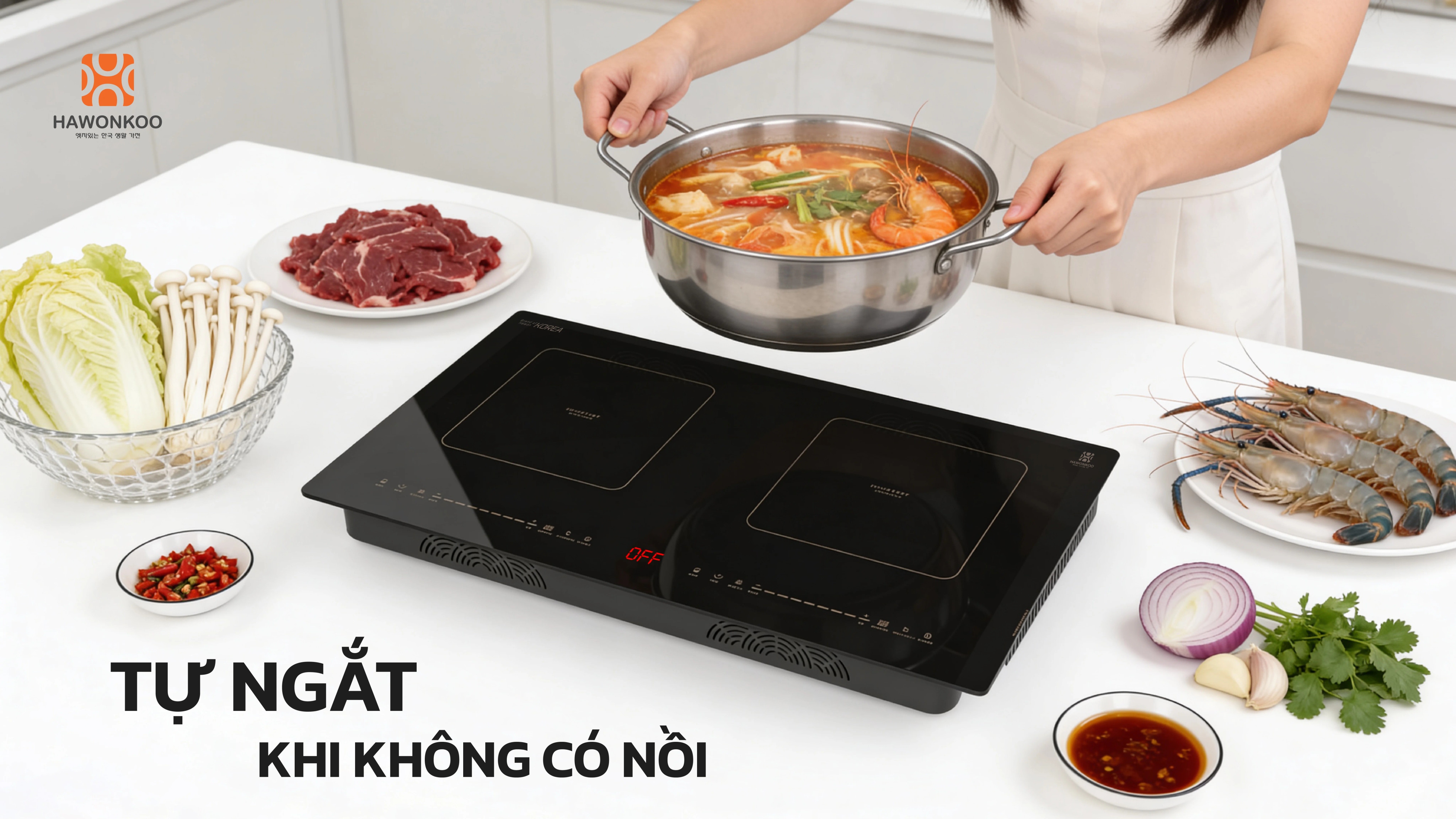 bep-tu-doi-hawonkoo-ceh-250-inverter-article-14