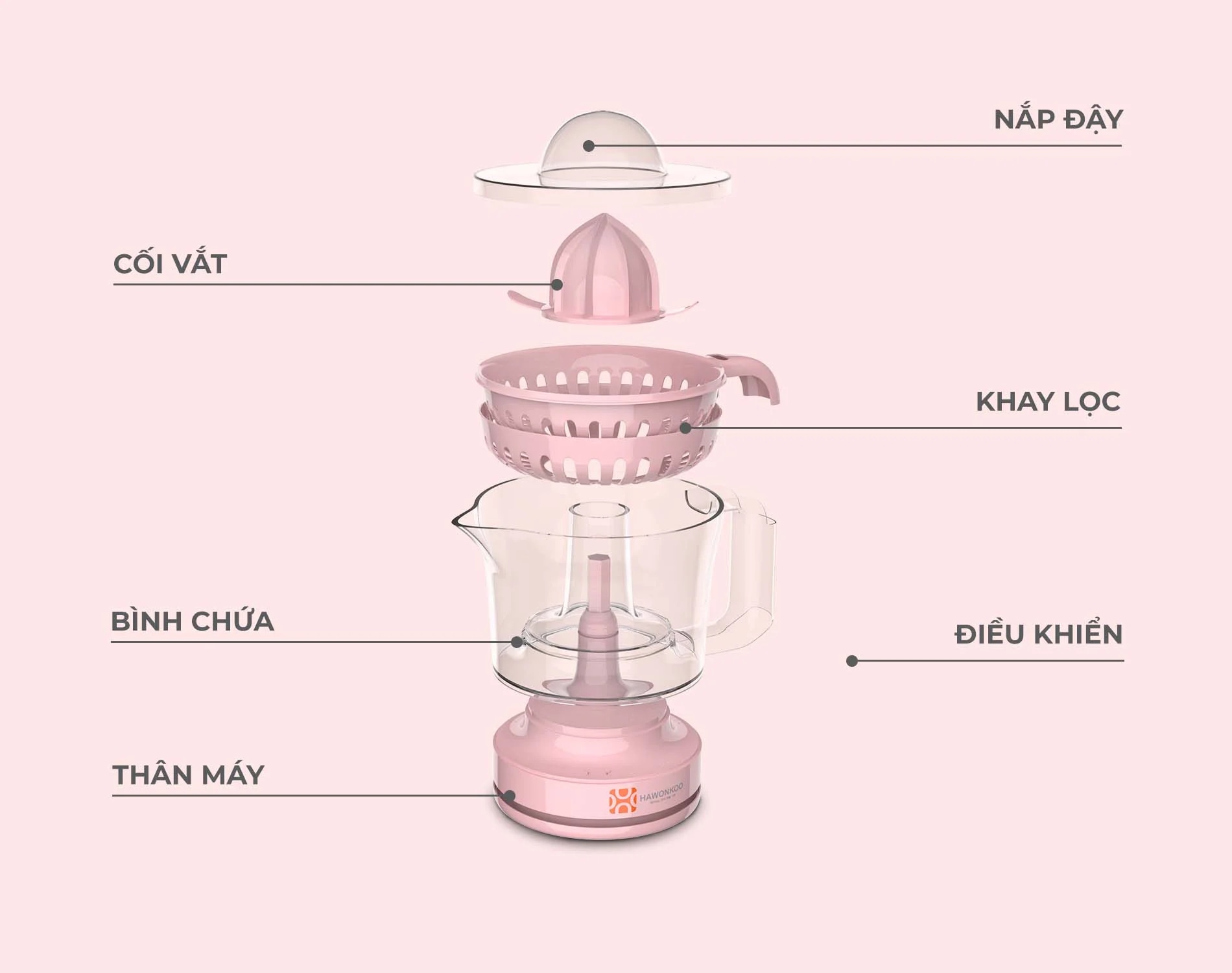 may-vat-cam-hawonkoo-ojh-001-article-6