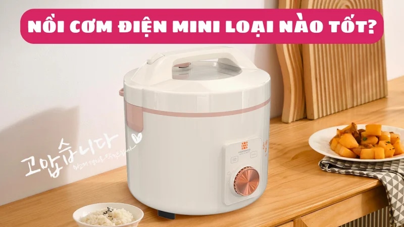 mua-noi-com-dien-mini-da-nang-loai-nao-tot-cach-chon-1