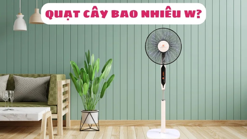 quat-cay-bao-nhieu-w-cong-suat-co-ton-dien-khong-1