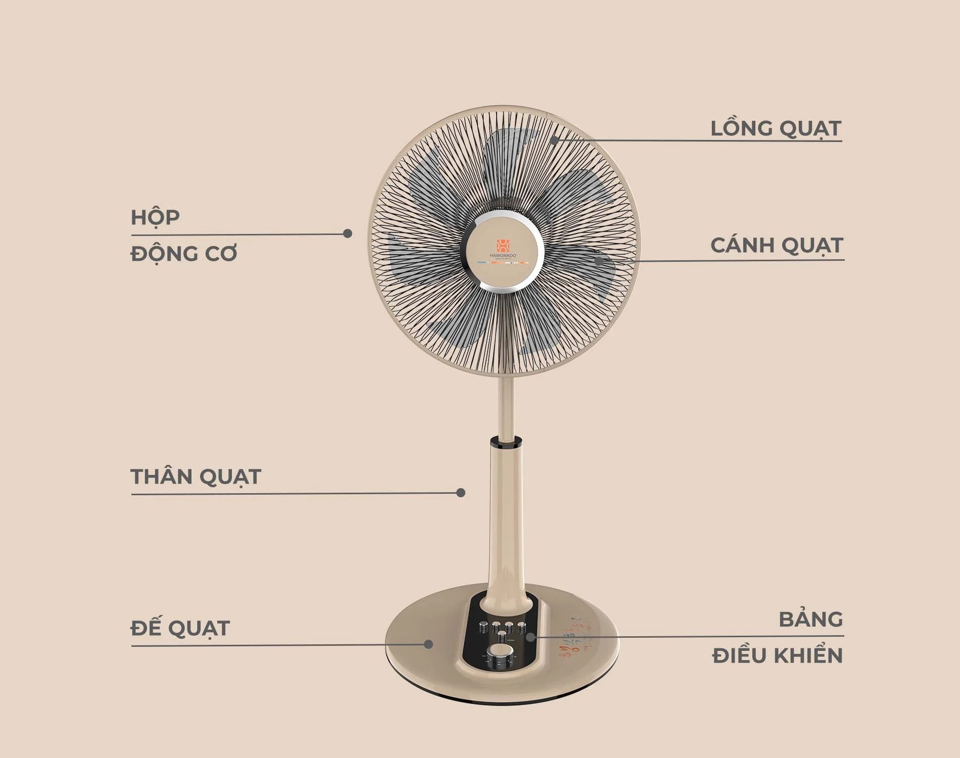 quat-cay-hawonkoo-ac-fah-010-7wings-article-7