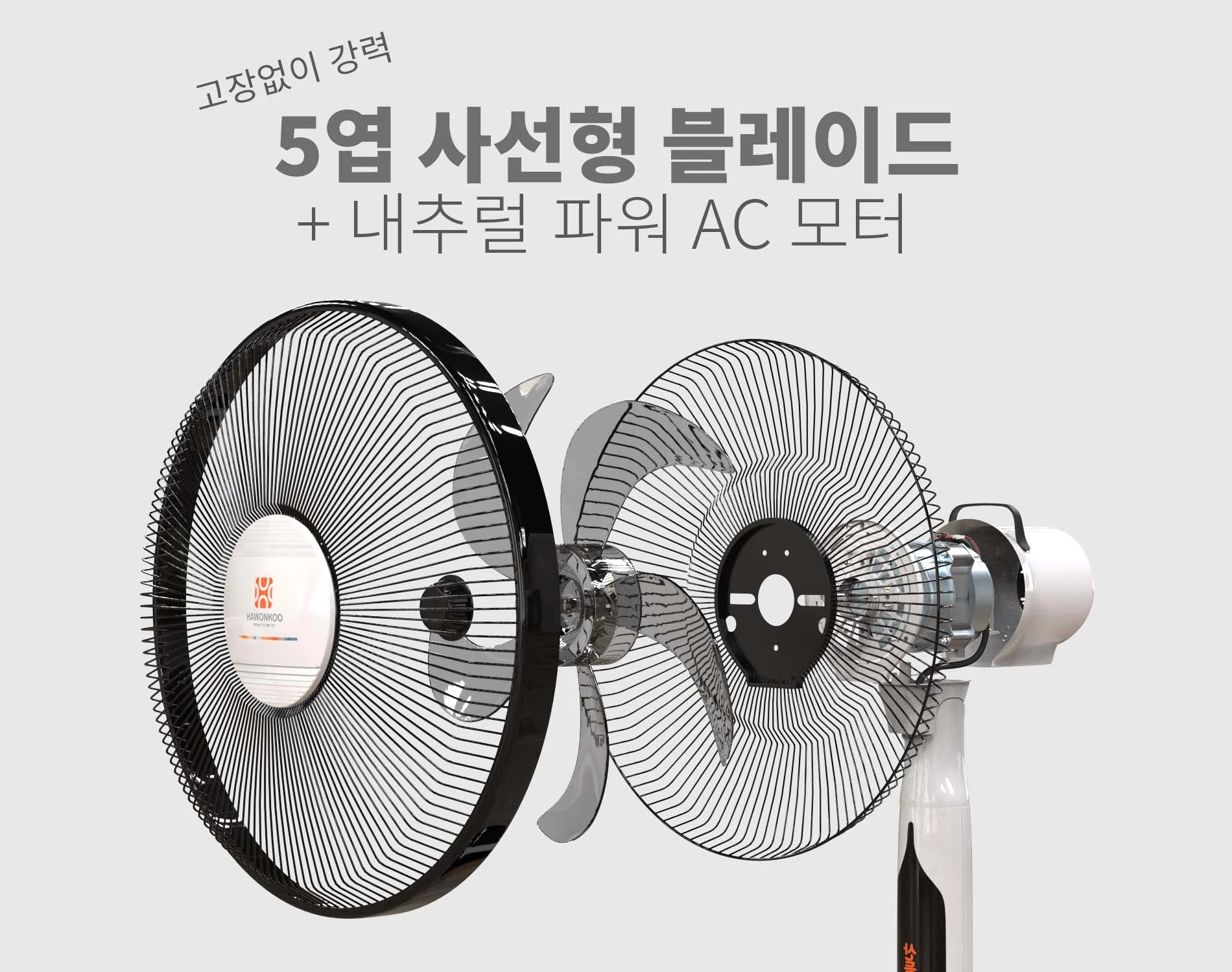 quat-cay-hawonkoo-ac-fah-011-article-2