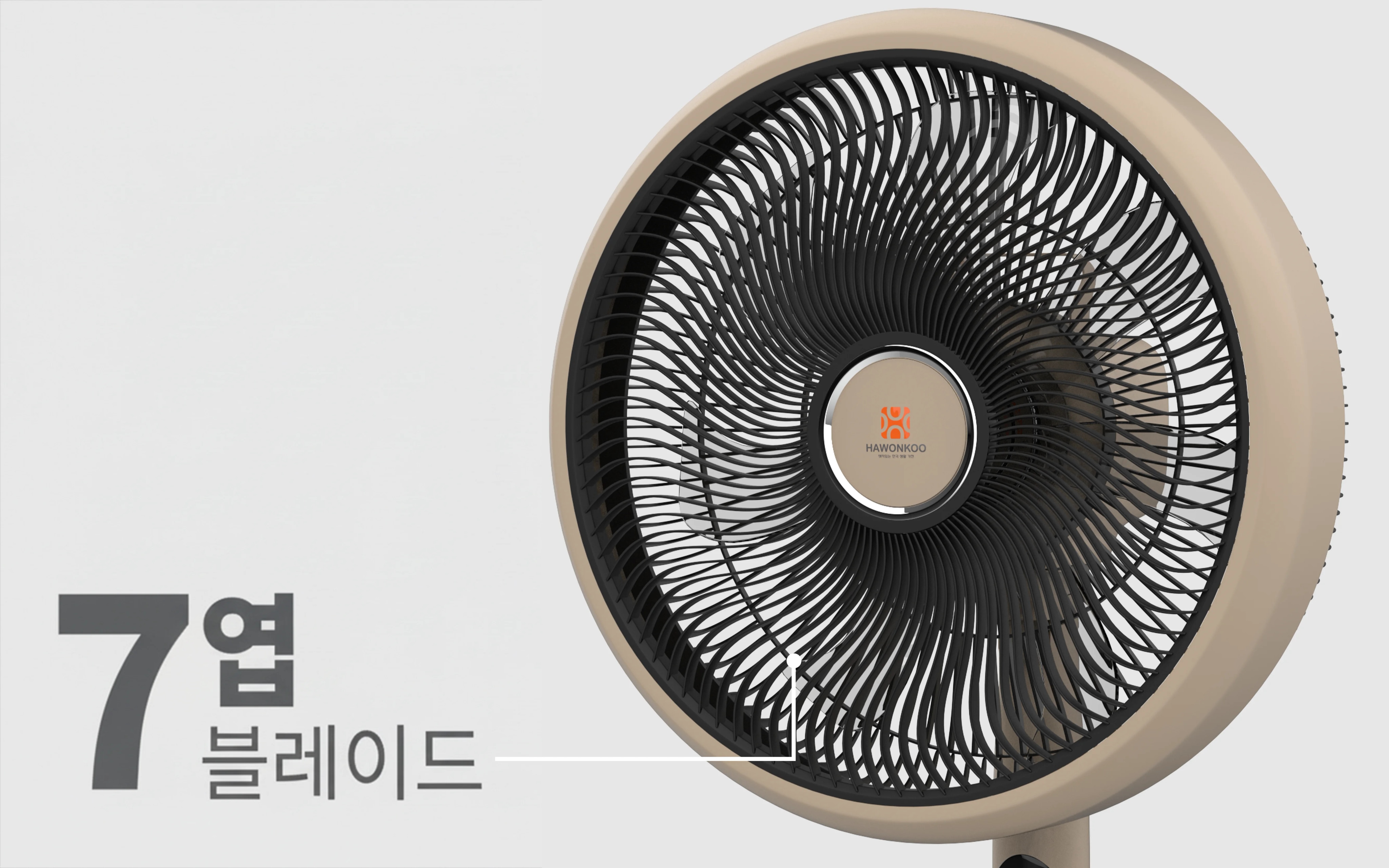 quat-cay-hawonkoo-dc-fdh-012-article-2