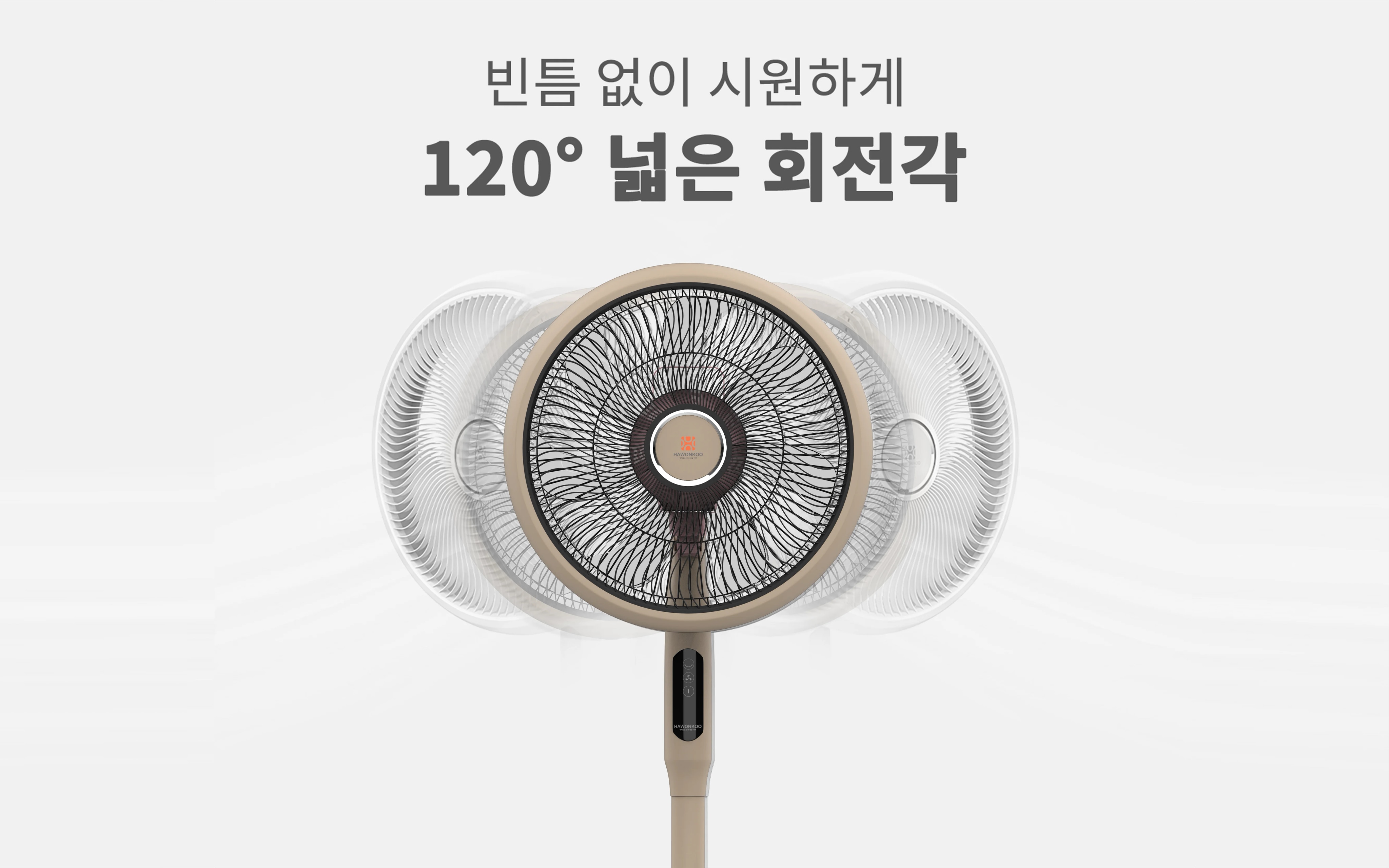 quat-cay-hawonkoo-dc-fdh-012-article-6