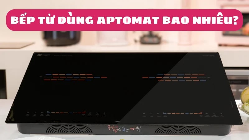 bep-tu-dung-aptomat-bao-nhieu-day-dien-loai-nao-1