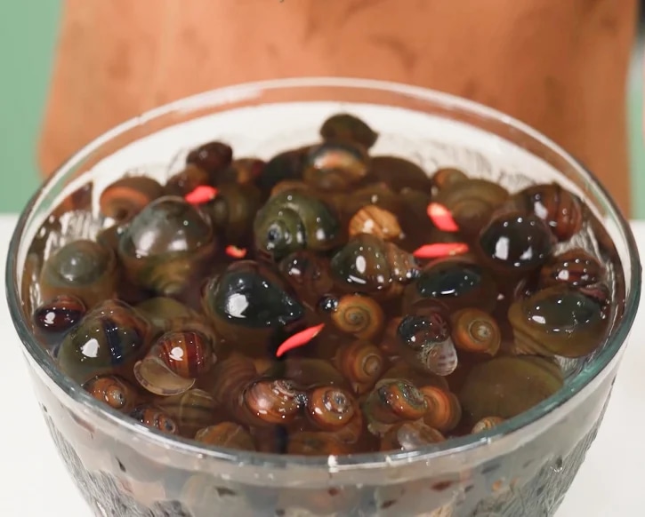 cach-lam-cha-oc-la-lot-thom-ngon-la-mieng-cuc-don-gian-article-1