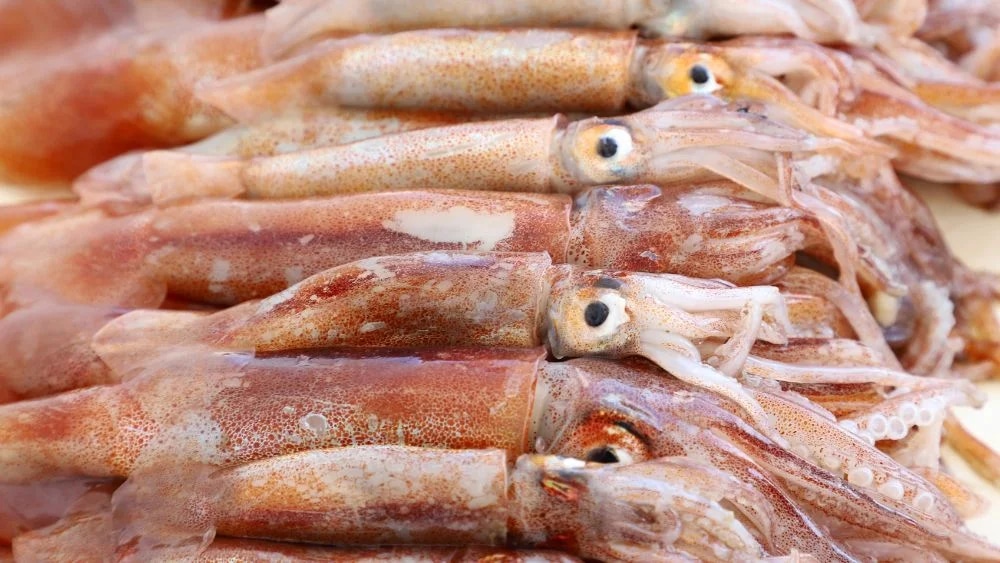 cach-lam-muc-nuong-sa-te-bang-noi-chien-khong-dau-article-2