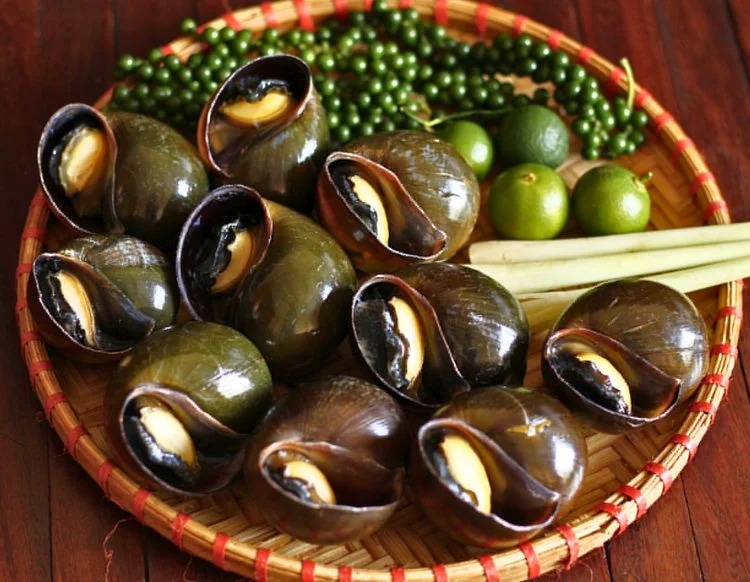 cach-lam-oc-buou-nuong-tieu-xanh-thom-ngon-bung-vi-article-2