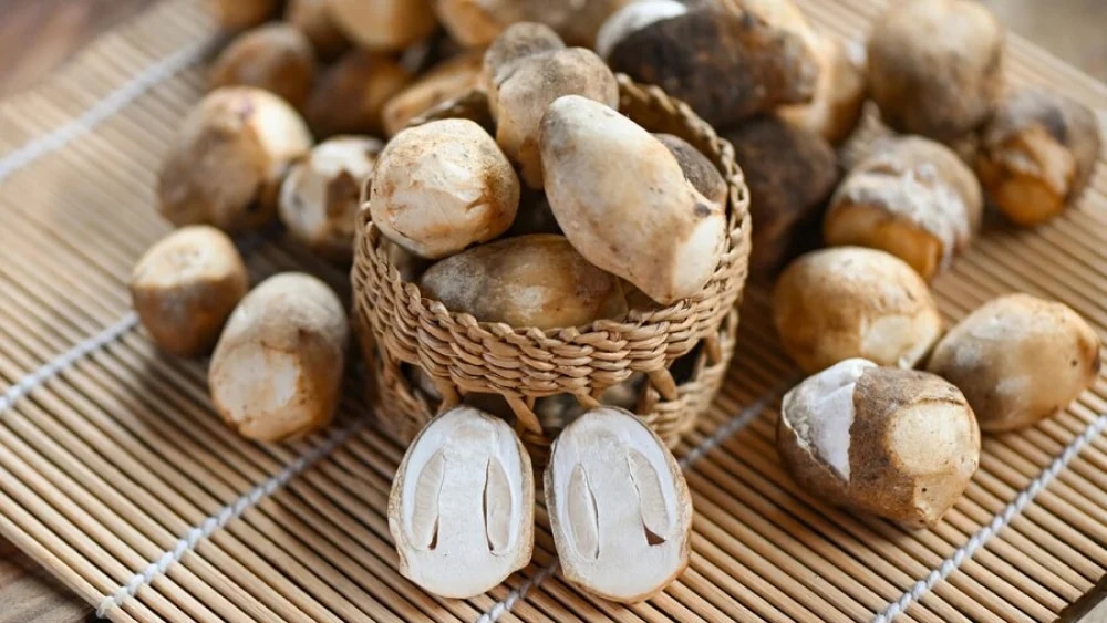 cach-nau-chao-hau-ngon-khong-tanh-bo-duong-cho-ca-nha-article-4
