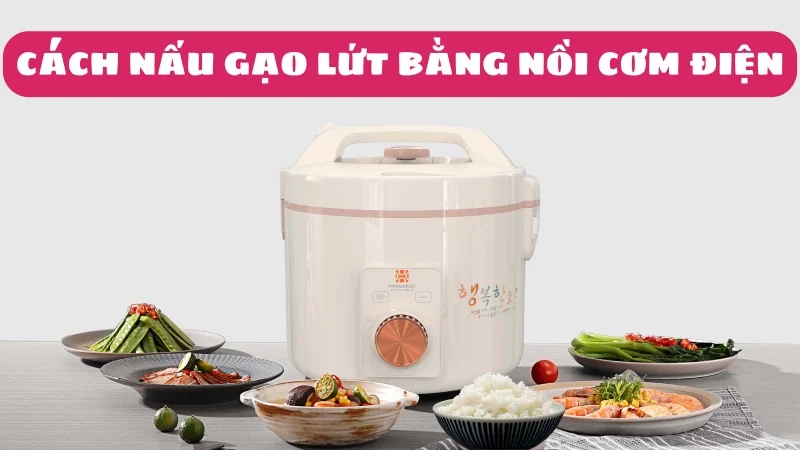 cach-nau-com-gao-lut-bang-noi-com-dien-1