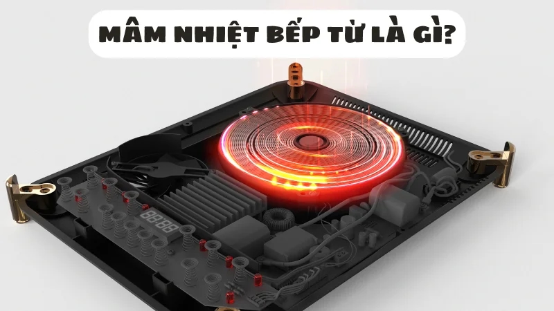mam-nhiet-bep-tu-la-gi-nen-chon-loai-nao-tot-nhat-1