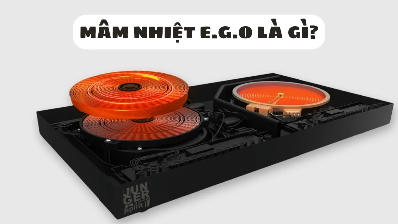 mam-nhiet-ego-la-gi-co-tot-khong-danh-gia-chi-tiet-1