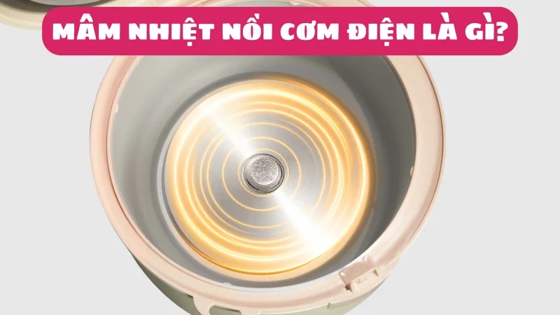 mam-nhiet-noi-com-dien-la-gi-nen-mua-loai-nao-tot-1