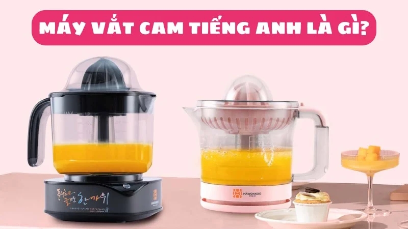 may-vat-cam-tieng-anh-la-gi-1