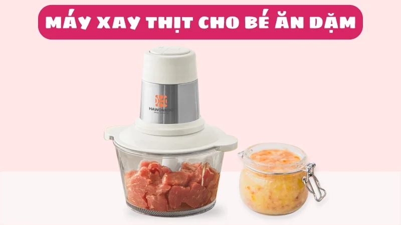 may-xay-thit-cho-be-an-dam-nen-mua-loai-nao-1