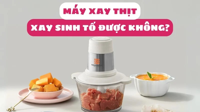 may-xay-thit-co-xay-sinh-to-duoc-khong-1