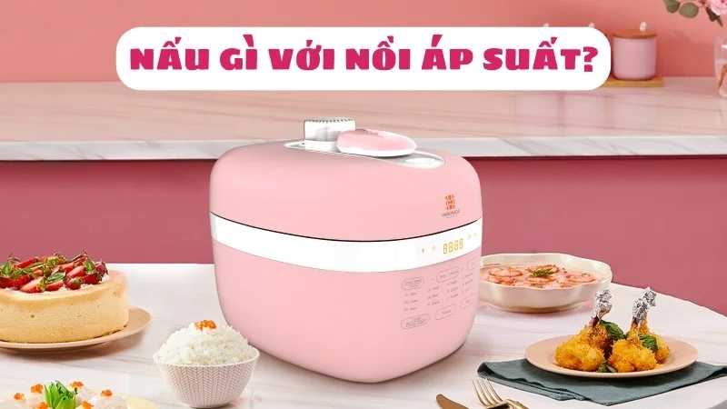noi-ap-suat-dung-de-nau-mon-gi-dung-nhu-the-nao-1
