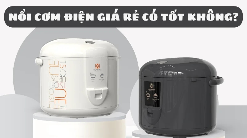 noi-com-dien-gia-re-co-tot-khong-loai-nao-ngon-bo-re-1