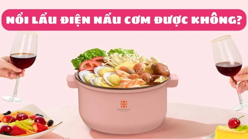 noi-lau-dien-co-nau-com-duoc-khong-huong-dan-cach-nau-ngon-1