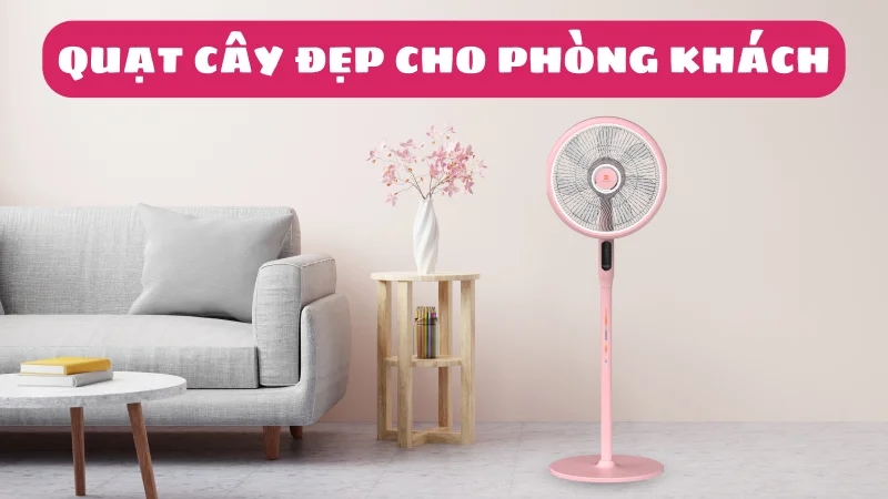 quat-cay-phong-khach-dep-review-top-3-1