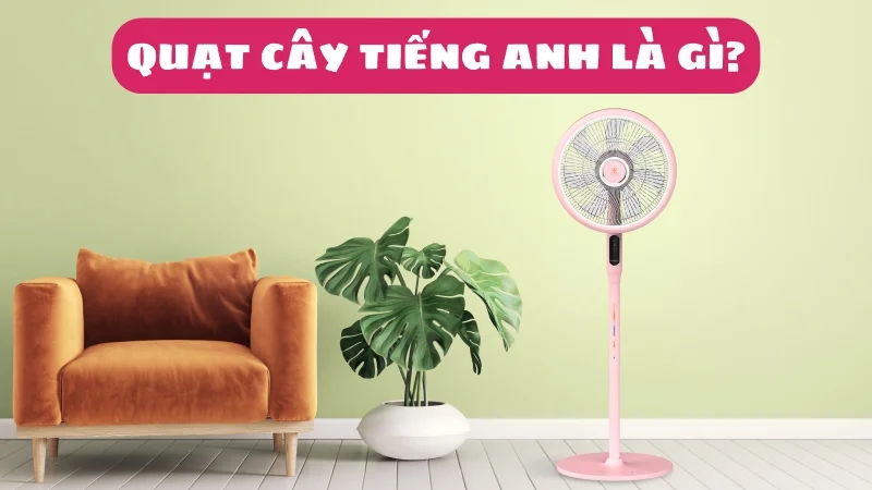 quat-cay-tieng-anh-la-gi-cac-tu-vung-lien-quan-1