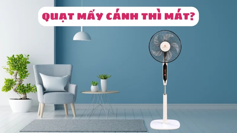 quat-may-canh-thi-mat-nen-mua-3-canh-hay-5-canh-1
