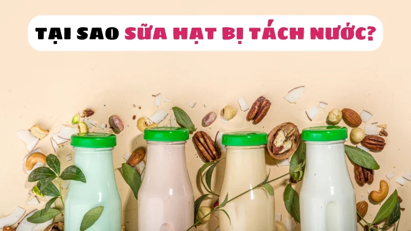 sua-hat-bi-tach-nuoc-tai-sao-co-uong-duoc-khong-1
