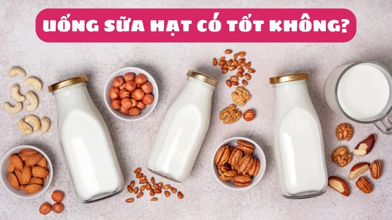 uong-sua-hat-co-tot-khong-nen-uong-khi-nao-ai-khong-nen-uong-1