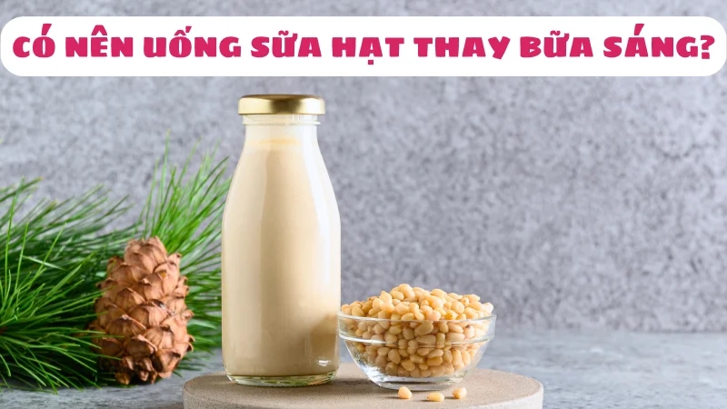 uong-sua-hat-thay-bua-sang-co-tot-khong-cach-su-dung-tot-nhat-1