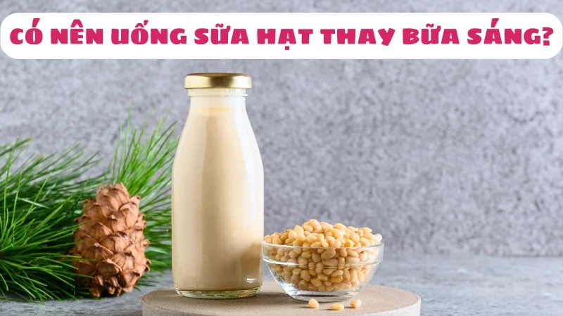 uong-sua-hat-thay-bua-sang-co-tot-khong-cach-su-dung-tot-nhat-1