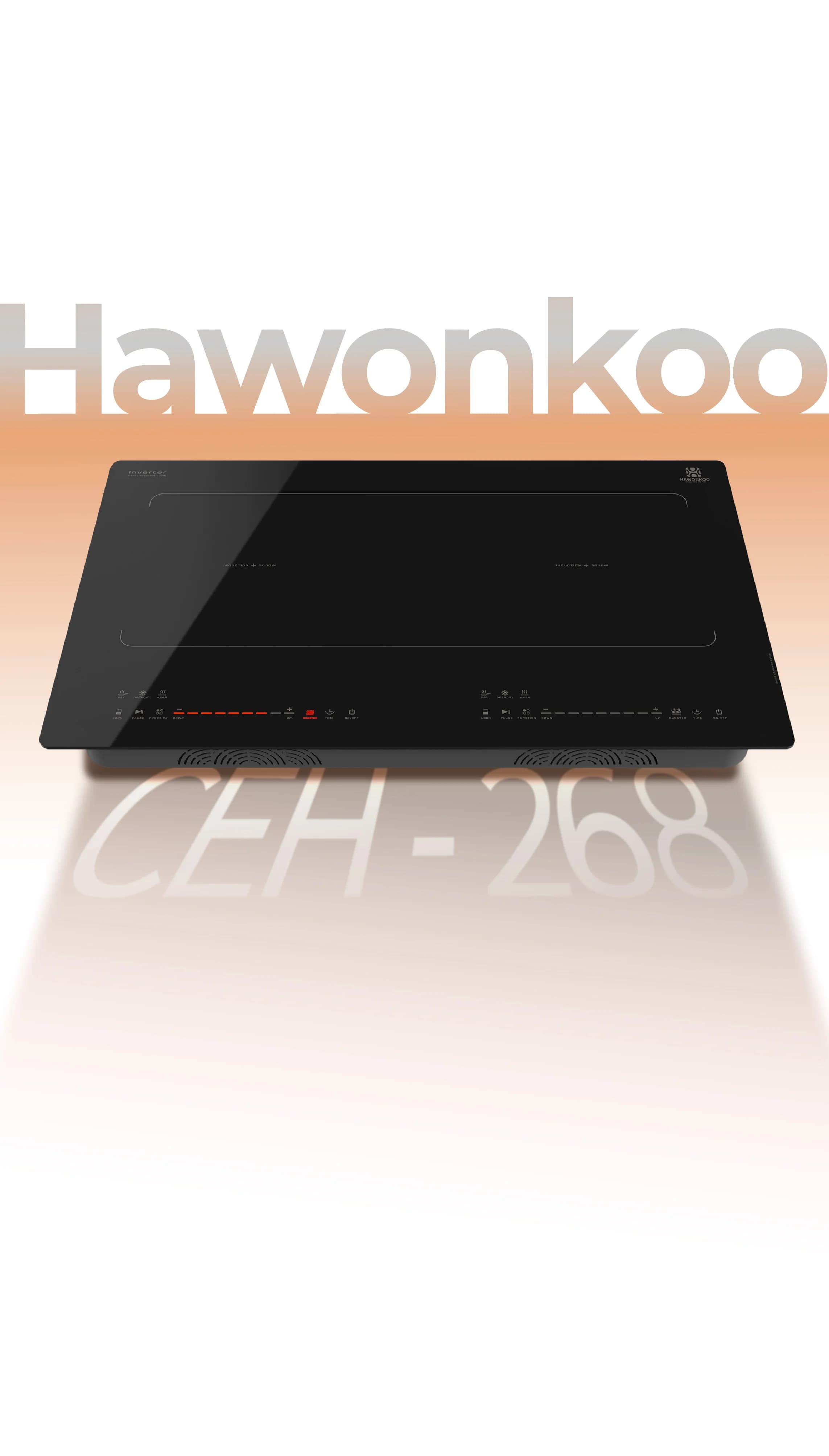 usp-268-hawonkoo-v2-11
