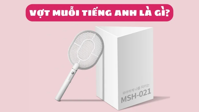 vot-muoi-tieng-anh-la-gi-cac-tu-vung-lien-quan-1